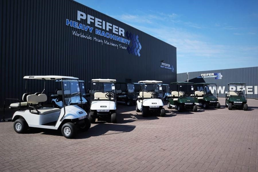 Golf auto BRINGO DG-C2 Valid Inspection, *Guarantee! Dutch R: slika 1