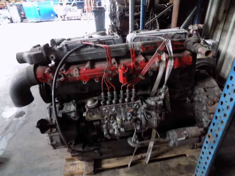 DAF 825 motor van daf typ 85 euro 2 - Motor za Kamion: slika 1 DAF 825 motor van daf typ 85 euro 2 - Motor za Kamion: slika 1