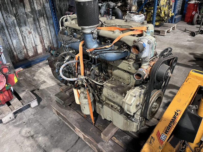 DAF DH 825 daf - MEERDERE OP VOORRAAD - Motor za Kamion: slika 1 DAF DH 825 daf - MEERDERE OP VOORRAAD - Motor za Kamion: slika 1