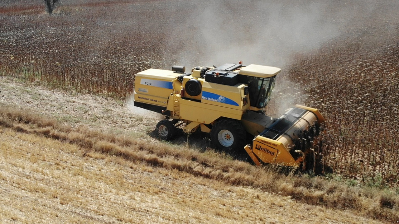 ELİBOL FREESUN 480 ROW INDEPENDENT SUNFLOWER HEADER - Kombajn za suncokret: slika 5 ELİBOL FREESUN 480 ROW INDEPENDENT SUNFLOWER HEADER - Kombajn za suncokret: slika 5