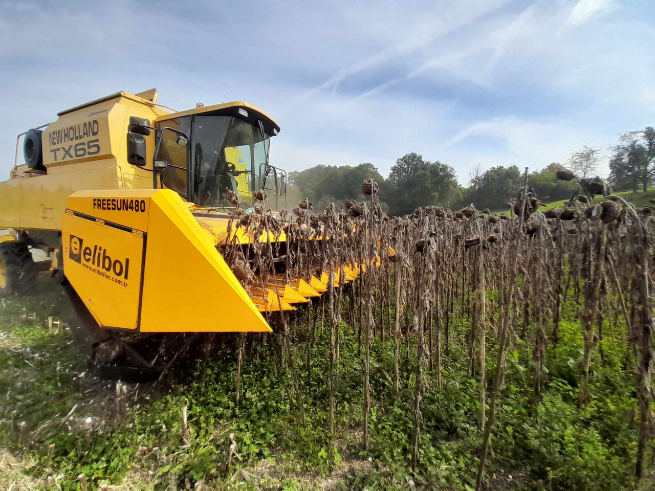 ELİBOL FREESUN 480 ROW INDEPENDENT SUNFLOWER HEADER - Kombajn za suncokret: slika 4 ELİBOL FREESUN 480 ROW INDEPENDENT SUNFLOWER HEADER - Kombajn za suncokret: slika 4