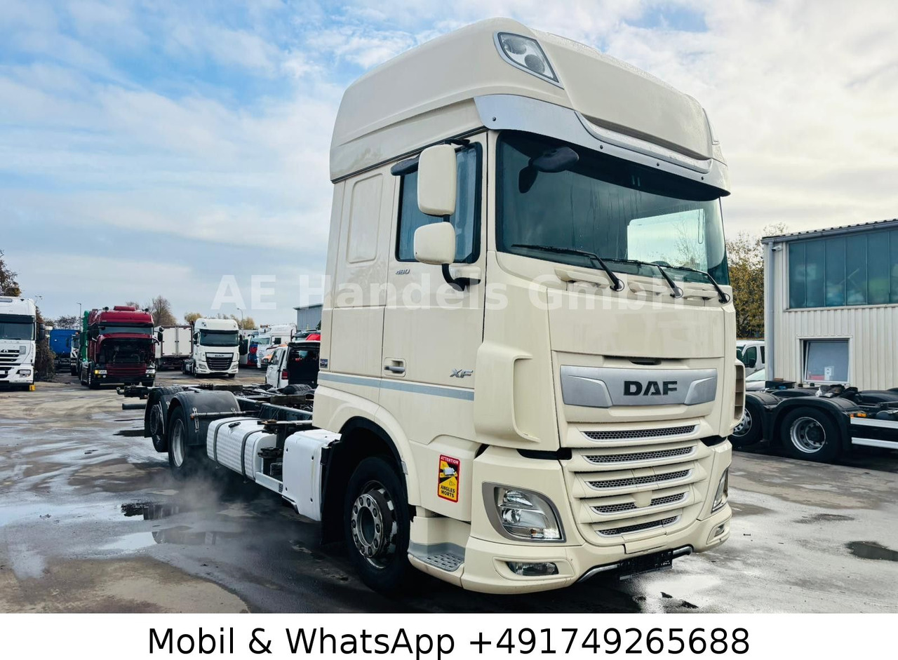DAF XF 480 SSC LL BDF *Retarder/ACC/Multi/Standklima - Kamion za prevoz kontejnera/ Kamion sa promenjivim sandukom: slika 1 DAF XF 480 SSC LL BDF *Retarder/ACC/Multi/Standklima - Kamion za prevoz kontejnera/ Kamion sa promenjivim sandukom: slika 1
