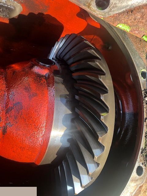 Merlo - Mechanizm Róźnicowy Atak Półosie Koło talerzowe - Diferencijalna brzina za Poljoprivredna mašina: slika 2 Merlo - Mechanizm Róźnicowy Atak Półosie Koło talerzowe - Diferencijalna brzina za Poljoprivredna mašina: slika 2