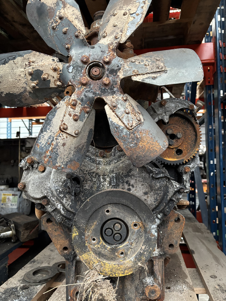 Perkins LF31227 Silnik Blok Tryb Koło Pasowe Pokrywa Kolektor Koło Zamachowe CZĘŚCI - Zamajac za Poljoprivredna mašina: slika 1 Perkins LF31227 Silnik Blok Tryb Koło Pasowe Pokrywa Kolektor Koło Zamachowe CZĘŚCI - Zamajac za Poljoprivredna mašina: slika 1