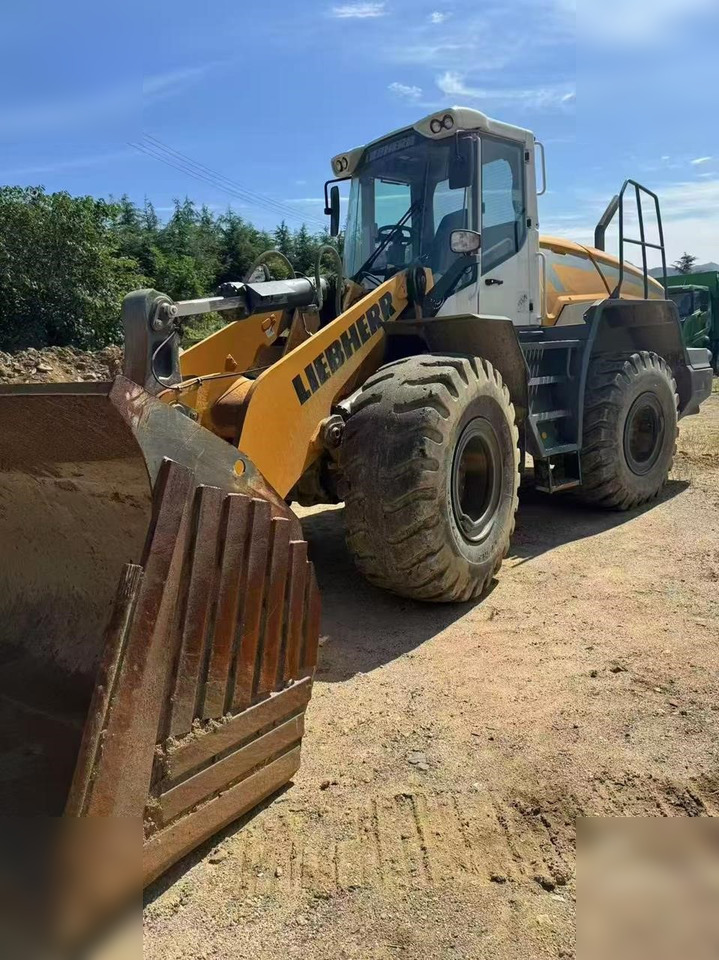 2020 LIEBHERR L550 - Utovarivač točkaš: slika 1 2020 LIEBHERR L550 - Utovarivač točkaš: slika 1