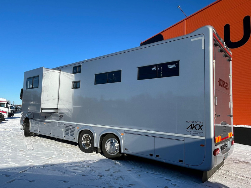 Mercedes-Benz Actros 2551 STX 6x2*4 - Kamioni za prevoz konja: slika 4 Mercedes-Benz Actros 2551 STX 6x2*4 - Kamioni za prevoz konja: slika 4