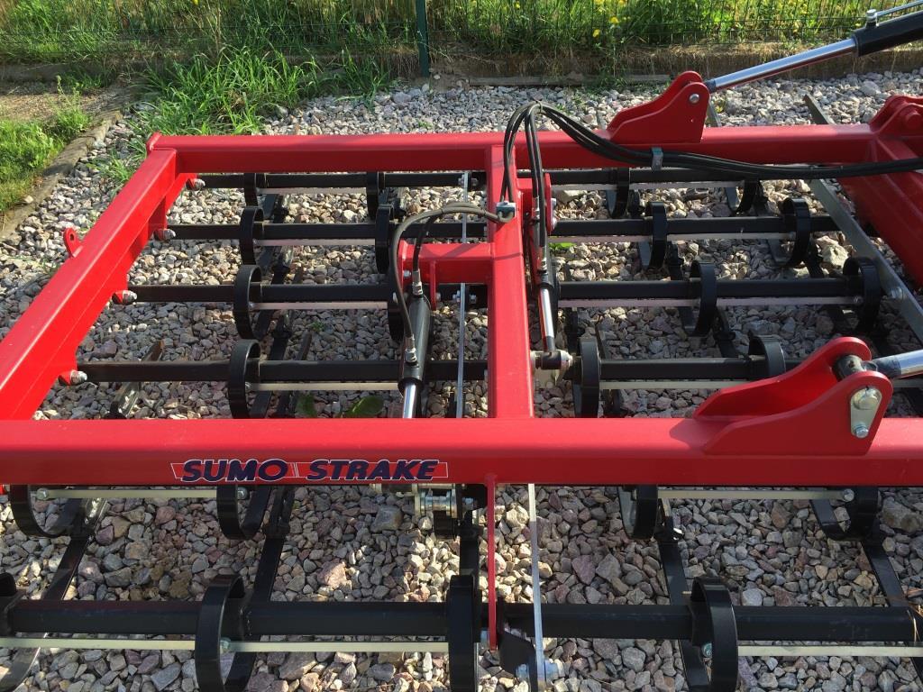 Sumo - Drljača: slika 4 Sumo - Drljača: slika 4