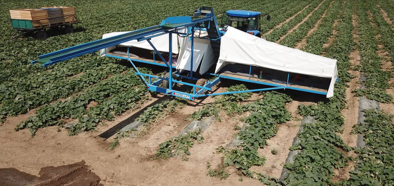 AGRO-LIFT Kombajn do ogórków - Kombajn: slika 3 AGRO-LIFT Kombajn do ogórków - Kombajn: slika 3