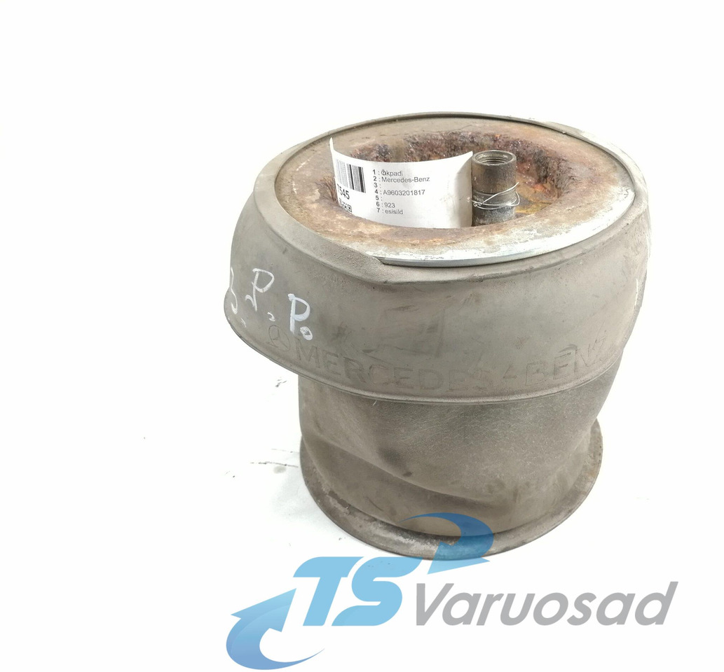 Mercedes-Benz Air suspension A9603201817 - Pneumatska suspenzija za Kamion: slika 1 Mercedes-Benz Air suspension A9603201817 - Pneumatska suspenzija za Kamion: slika 1