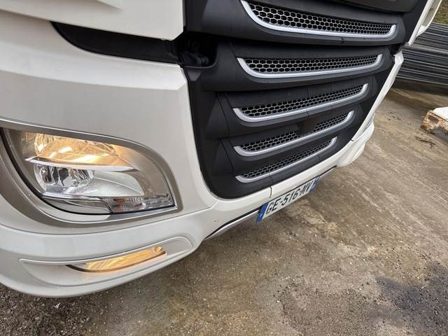 Kamion za prevoz kontejnera/ Kamion sa promenjivim sandukom DAF XF450: slika 21
