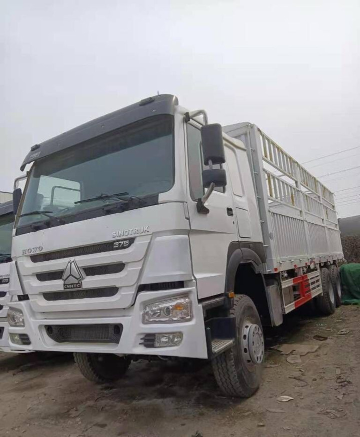 Sinotruk HOWO 6*4 - Kamion sa tovarnim sandukom: slika 1 Sinotruk HOWO 6*4 - Kamion sa tovarnim sandukom: slika 1