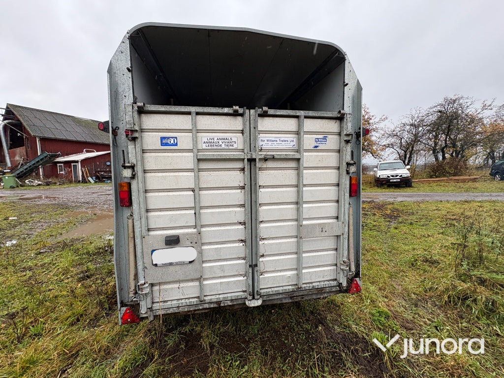 Boskapssläp - Ifor Williams - Prikolica za prevoz stoke: slika 4 Boskapssläp - Ifor Williams - Prikolica za prevoz stoke: slika 4