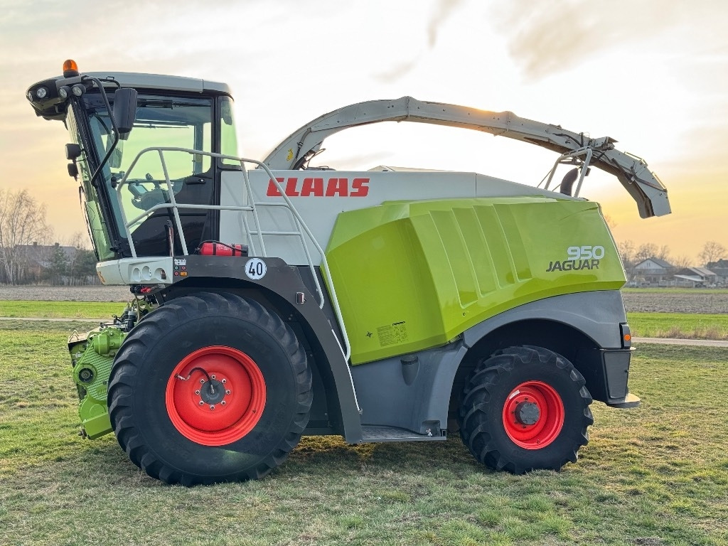 Claas Jaguar 950 Allrad - Kombajn za stočnu hranu: slika 3 Claas Jaguar 950 Allrad - Kombajn za stočnu hranu: slika 3