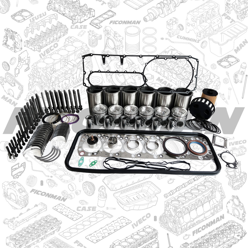 FPT IVECO CASE Cursor9 Euro 6 F2CFE612 A/B/D ENGINE OVERHAUL 8094279 - Komplet za remont motora za Kamion: slika 1 FPT IVECO CASE Cursor9 Euro 6 F2CFE612 A/B/D ENGINE OVERHAUL 8094279 - Komplet za remont motora za Kamion: slika 1