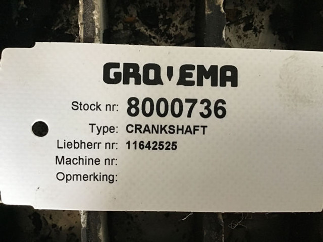 Liebherr Crankshaft - Radilica: slika 3 Liebherr Crankshaft - Radilica: slika 3