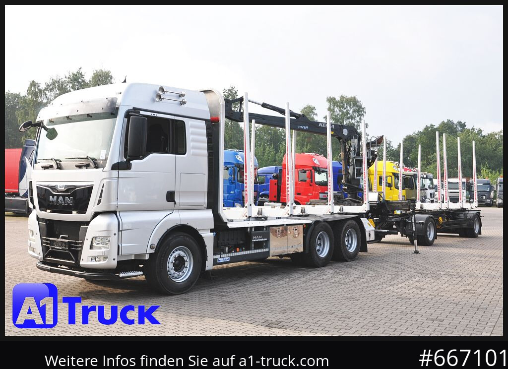 Kamion, Kamion sa dizalicom MAN TGX 26.480, Holz Kesla 2109, 6x4,: slika 11