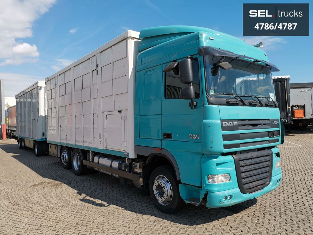 DAF XF 105.460 / Intarder / 4 Stock / KOMPLETT ! DAF XF 105.460 / Intarder / 4 Stock / KOMPLETT ! - Kamion za prevoz stoke: slika 4 DAF XF 105.460 / Intarder / 4 Stock / KOMPLETT ! DAF XF 105.460 / Intarder / 4 Stock / KOMPLETT ! - Kamion za prevoz stoke: slika 4