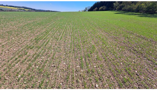 Farmet Falcon 6 PRO Fert+ - Kombinovana mašina za setvu: slika 3 Farmet Falcon 6 PRO Fert+ - Kombinovana mašina za setvu: slika 3