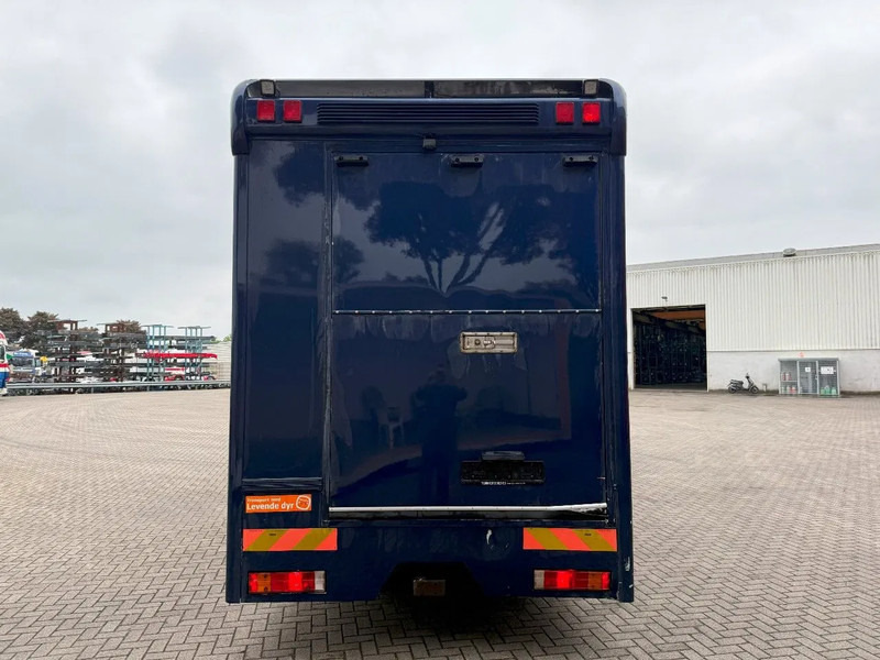 Mercedes-Benz Atego 1223 / ENGINE RUNNING / ONLY:159450 KM / HORSETRUCK / HEATED BOX / WATERTANK / LIVING ROOM / EURO-2 / MANUAL / 1998 - Kamioni za prevoz konja: slika 4 Mercedes-Benz Atego 1223 / ENGINE RUNNING / ONLY:159450 KM / HORSETRUCK / HEATED BOX / WATERTANK / LIVING ROOM / EURO-2 / MANUAL / 1998 - Kamioni za prevoz konja: slika 4