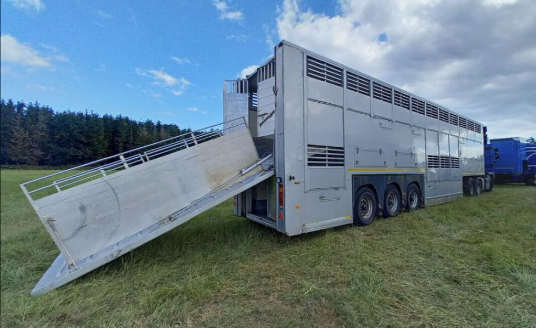 Gray and Adams Gray and Adams Gadd3 / Works Great / Hydraulic / 2 Levels - Poluprikolica za prevoz stoke: slika 1 Gray and Adams Gray and Adams Gadd3 / Works Great / Hydraulic / 2 Levels - Poluprikolica za prevoz stoke: slika 1