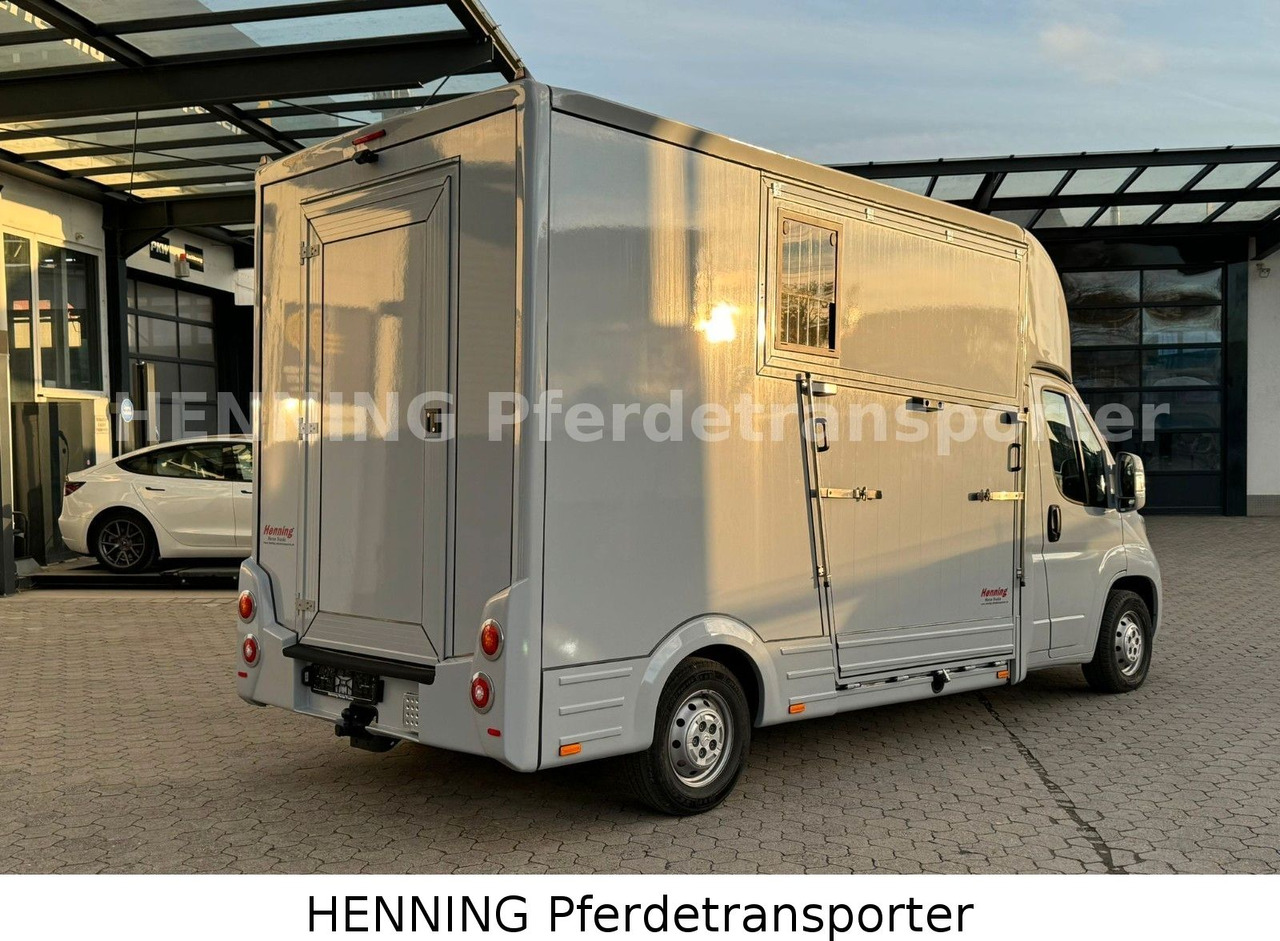 Citroën Jumper 3 - Sitzer - Kamion za prevoz stoke: slika 3 Citroën Jumper 3 - Sitzer - Kamion za prevoz stoke: slika 3