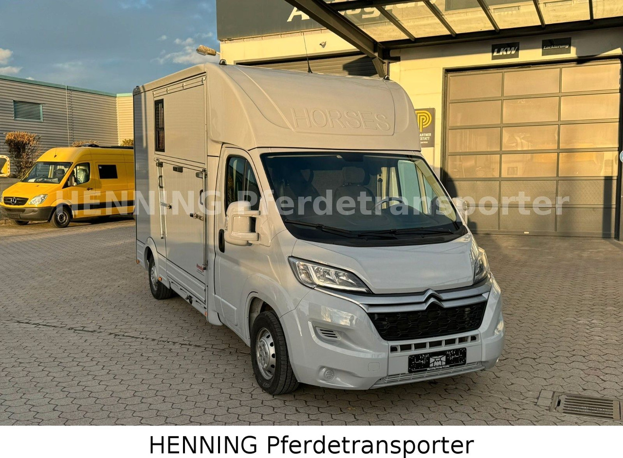 Citroën Jumper 3 - Sitzer - Kamion za prevoz stoke: slika 2 Citroën Jumper 3 - Sitzer - Kamion za prevoz stoke: slika 2