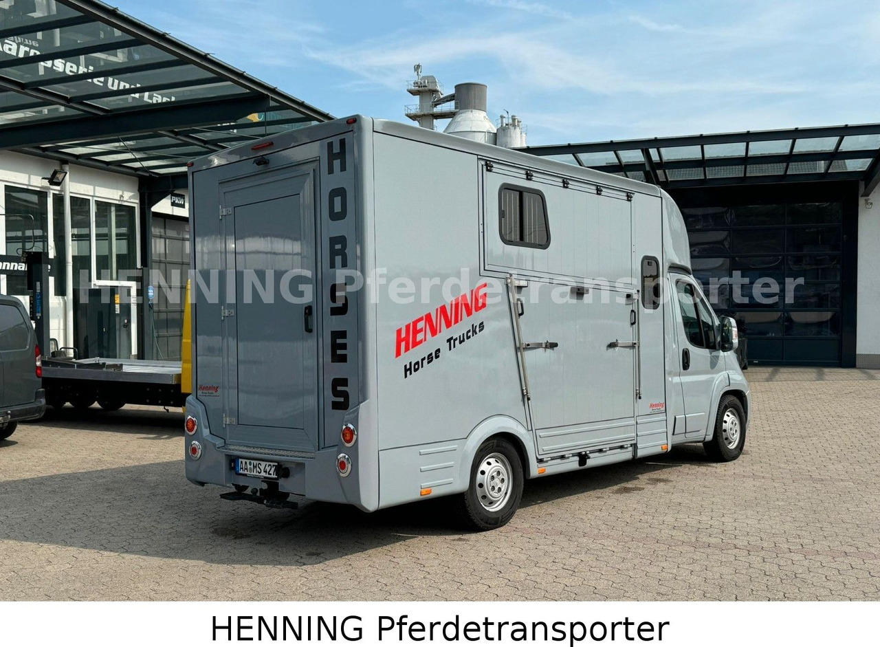 Citroën Jumper 5 - Sitzer - Kamion za prevoz stoke: slika 2 Citroën Jumper 5 - Sitzer - Kamion za prevoz stoke: slika 2