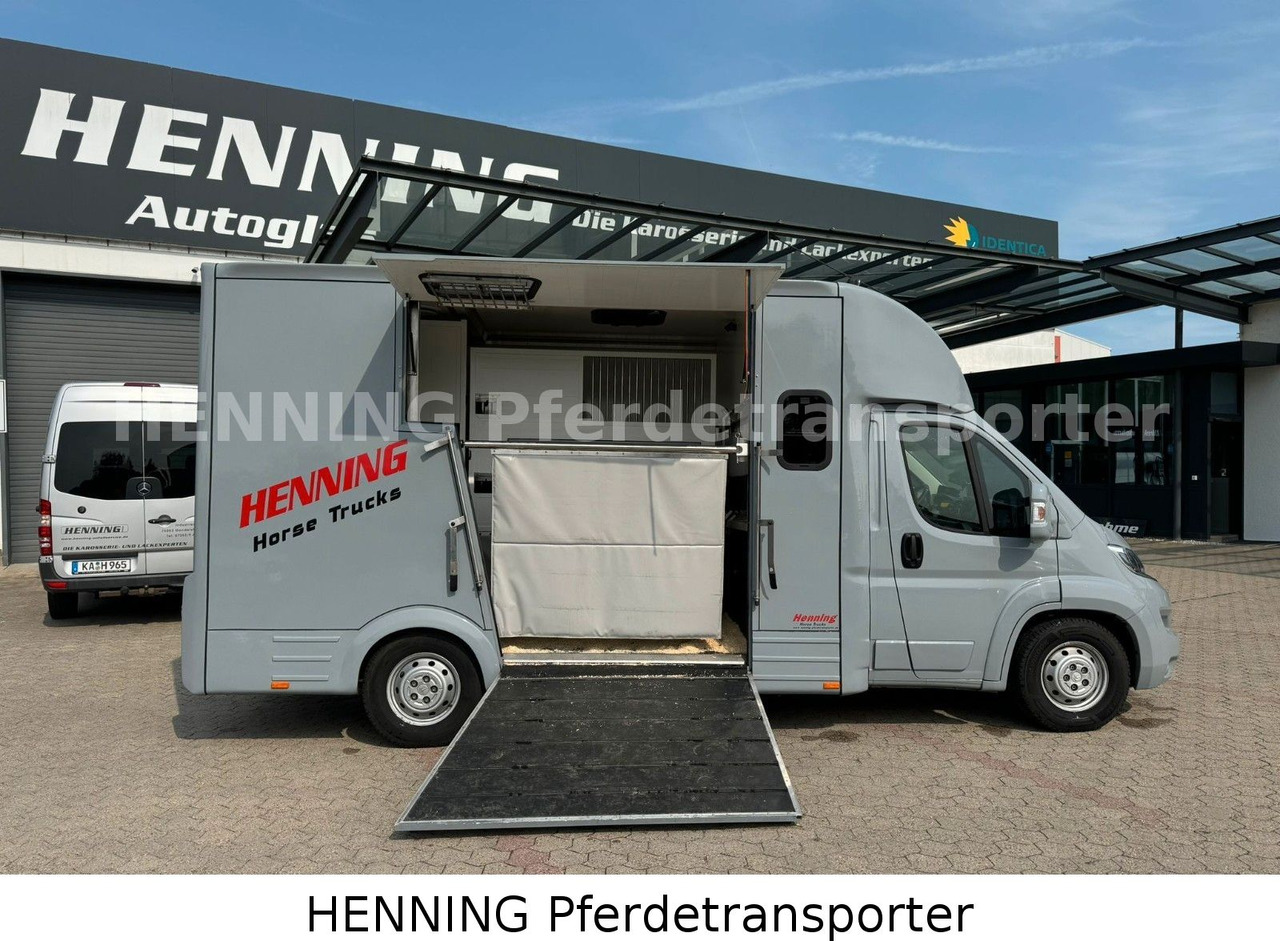 Citroën Jumper 5 - Sitzer - Kamion za prevoz stoke: slika 3 Citroën Jumper 5 - Sitzer - Kamion za prevoz stoke: slika 3