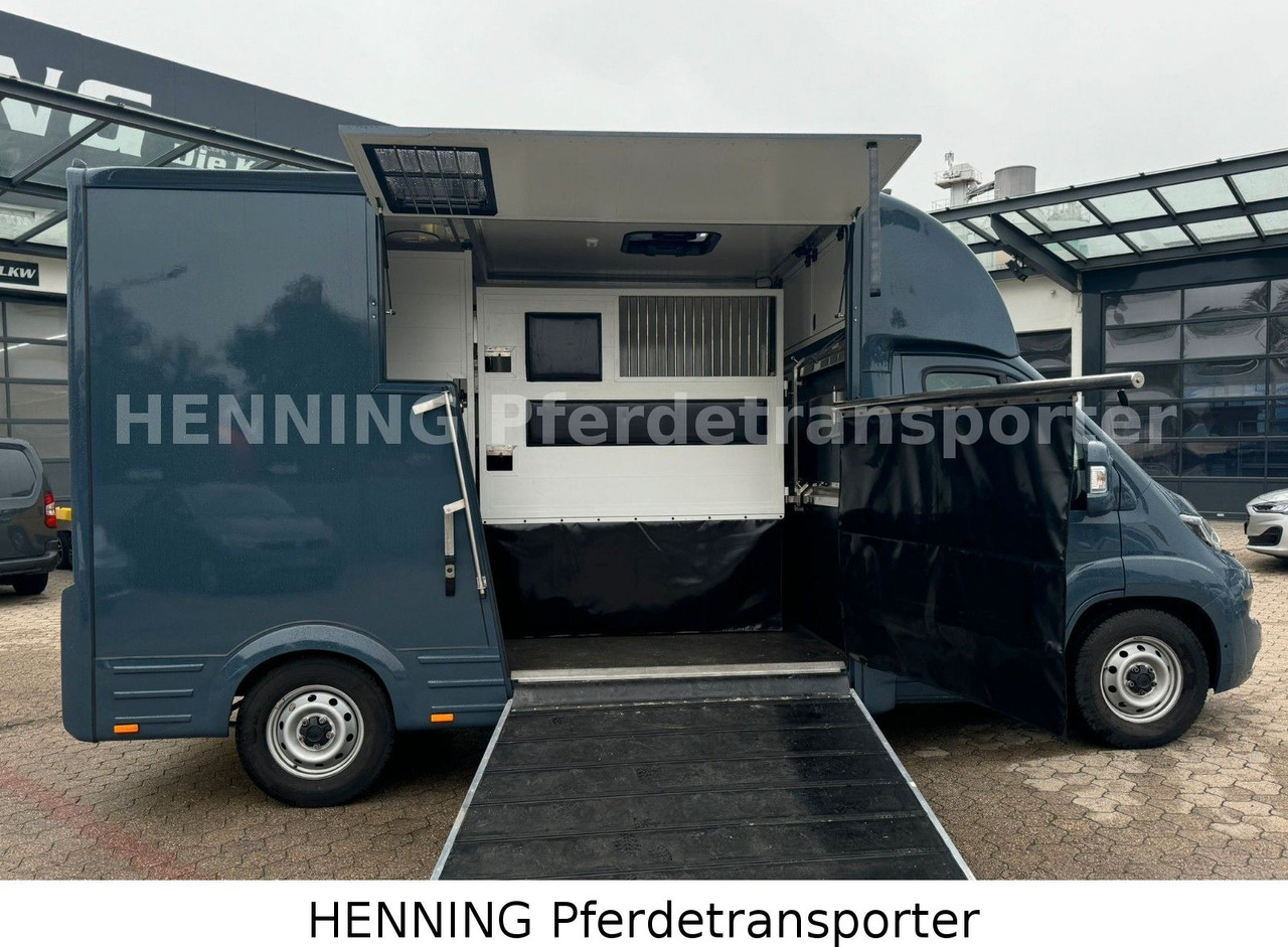 Fiat Ducato *AUTOMATIK* 3 - Sitzer - Kamion za prevoz stoke: slika 4 Fiat Ducato *AUTOMATIK* 3 - Sitzer - Kamion za prevoz stoke: slika 4
