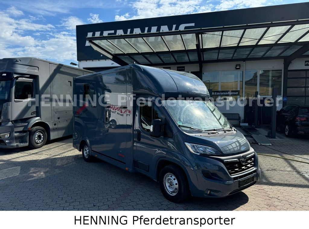 Opel Movano 3 - Sitzer *AUFBAU NEU* - Kamioni za prevoz konja: slika 1 Opel Movano 3 - Sitzer *AUFBAU NEU* - Kamioni za prevoz konja: slika 1