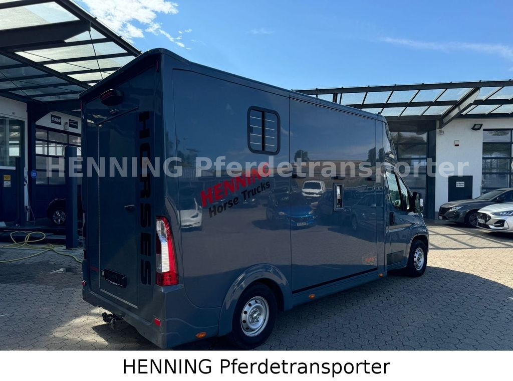 Opel Movano 3 - Sitzer *AUFBAU NEU* - Kamioni za prevoz konja: slika 2 Opel Movano 3 - Sitzer *AUFBAU NEU* - Kamioni za prevoz konja: slika 2