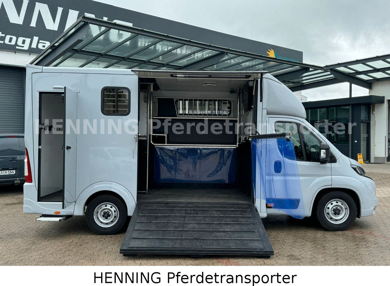 Peugeot Boxer 3 - Sitzer *GROSSE SATTELKAMMER* - Kamion za prevoz stoke: slika 5 Peugeot Boxer 3 - Sitzer *GROSSE SATTELKAMMER* - Kamion za prevoz stoke: slika 5