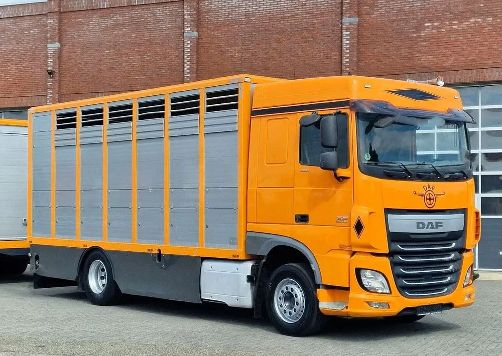 DAF XF 460 4x2 SpaceCab – Menke Livestock | 1 pokład | Euro 6 | 2016 - Kamion za prevoz stoke: slika 4 DAF XF 460 4x2 SpaceCab – Menke Livestock | 1 pokład | Euro 6 | 2016 - Kamion za prevoz stoke: slika 4