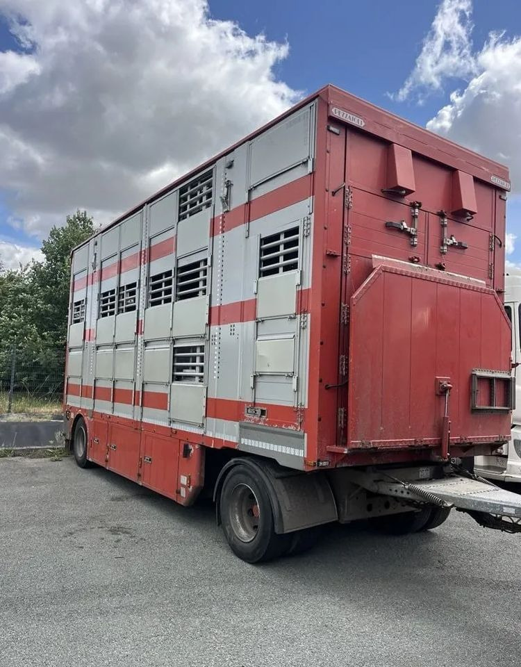 DAF XF 460 + Przyczepa Pezzaoli - 3X Trzoda, 2 X Bydło I 3 poziomy I Podnoszony dach I Hydroburta I Osie Skrętne I Poidła I Wentylatory I Pilot Manualny | Euro5 - Kamion za prevoz stoke: slika 3 DAF XF 460 + Przyczepa Pezzaoli - 3X Trzoda, 2 X Bydło I 3 poziomy I Podnoszony dach I Hydroburta I Osie Skrętne I Poidła I Wentylatory I Pilot Manualny | Euro5 - Kamion za prevoz stoke: slika 3