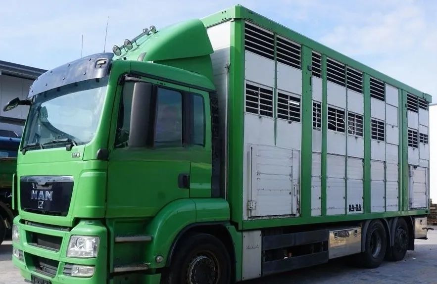 MAN TGS 26.440 ZABUDOWA KABA CAŁA ALUMINIOWA– samochód do transportu zwierząt/koni – 3 pokłady / EURO 5/6X2/PODNOSZONY DACH - Kamion za prevoz stoke: slika 1 MAN TGS 26.440 ZABUDOWA KABA CAŁA ALUMINIOWA– samochód do transportu zwierząt/koni – 3 pokłady / EURO 5/6X2/PODNOSZONY DACH - Kamion za prevoz stoke: slika 1