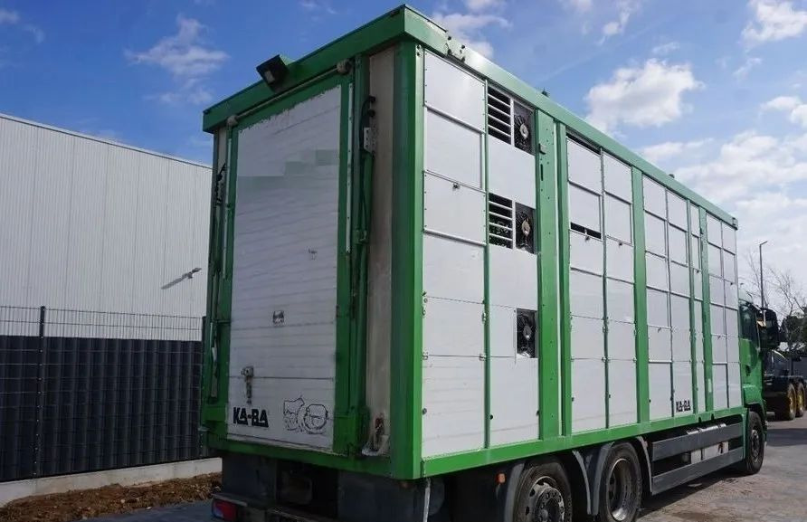 MAN TGS 26.440 ZABUDOWA KABA CAŁA ALUMINIOWA– samochód do transportu zwierząt/koni – 3 pokłady / EURO 5/6X2/PODNOSZONY DACH - Kamion za prevoz stoke: slika 2 MAN TGS 26.440 ZABUDOWA KABA CAŁA ALUMINIOWA– samochód do transportu zwierząt/koni – 3 pokłady / EURO 5/6X2/PODNOSZONY DACH - Kamion za prevoz stoke: slika 2