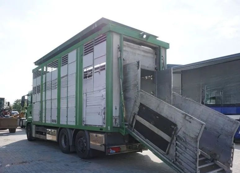 MAN TGS 26.440 ZABUDOWA KABA CAŁA ALUMINIOWA– samochód do transportu zwierząt/koni – 3 pokłady / EURO 5/6X2/PODNOSZONY DACH - Kamion za prevoz stoke: slika 4 MAN TGS 26.440 ZABUDOWA KABA CAŁA ALUMINIOWA– samochód do transportu zwierząt/koni – 3 pokłady / EURO 5/6X2/PODNOSZONY DACH - Kamion za prevoz stoke: slika 4