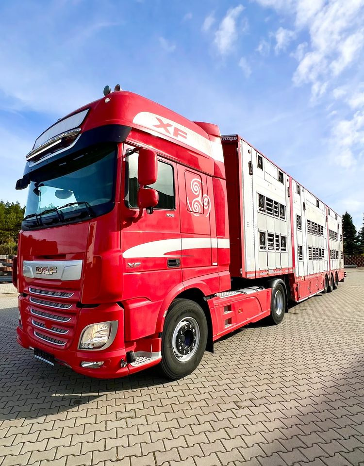 Pezzaioli NACZEPA 2017 / 3 POZIOMY / TRANSPORT ZWIERZĄT / HYDRAULIKA / STEROWANIE PILOTEM/ PODNOSZONY DACH / - Poluprikolica za prevoz stoke: slika 5 Pezzaioli NACZEPA 2017 / 3 POZIOMY / TRANSPORT ZWIERZĄT / HYDRAULIKA / STEROWANIE PILOTEM/ PODNOSZONY DACH / - Poluprikolica za prevoz stoke: slika 5