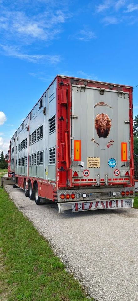 Pezzaioli SBA32/hydrauliczny dach/hydrauliczna rampa/ 3 poziomy/ 2xbydło -3xtrzoda/wentylatory/poidła/sterowanie pilotem - Poluprikolica za prevoz stoke: slika 5 Pezzaioli SBA32/hydrauliczny dach/hydrauliczna rampa/ 3 poziomy/ 2xbydło -3xtrzoda/wentylatory/poidła/sterowanie pilotem - Poluprikolica za prevoz stoke: slika 5