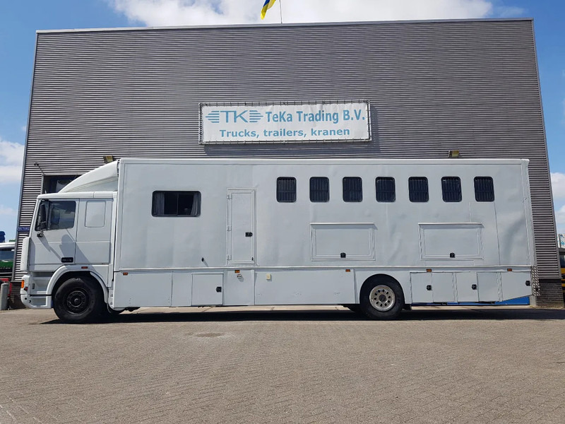 DAF 95.350 Paardenwagen met zitverblijf 7 paarden 7 horses - Kamioni za prevoz konja: slika 3 DAF 95.350 Paardenwagen met zitverblijf 7 paarden 7 horses - Kamioni za prevoz konja: slika 3