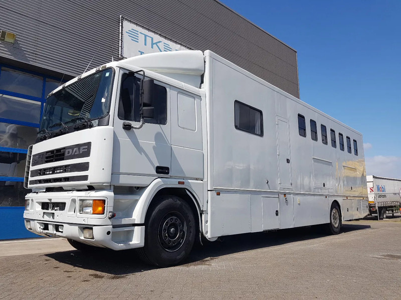 DAF 95.350 Paardenwagen met zitverblijf 7 paarden 7 horses - Kamioni za prevoz konja: slika 1 DAF 95.350 Paardenwagen met zitverblijf 7 paarden 7 horses - Kamioni za prevoz konja: slika 1