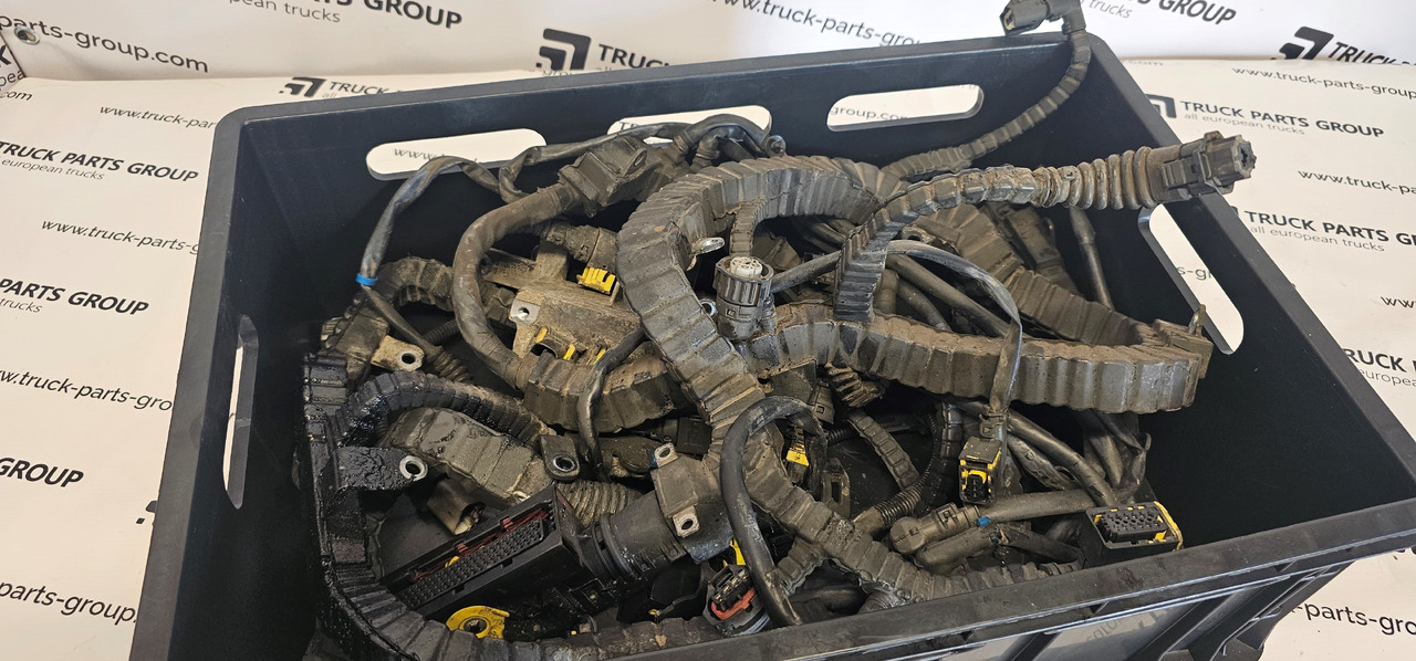 DAF DAF XF, 106XF EURO6 emission MX13 engine cable wiring harness, electric installation cables set 200608100, 2178067, 2006097, 2010004, 1957513, 1999661, 2032829, 1943976, 1952941, 2034713, 1875420, 194 - Rezervni deo: slika 2 DAF DAF XF, 106XF EURO6 emission MX13 engine cable wiring harness, electric installation cables set 200608100, 2178067, 2006097, 2010004, 1957513, 1999661, 2032829, 1943976, 1952941, 2034713, 1875420, 194 - Rezervni deo: slika 2