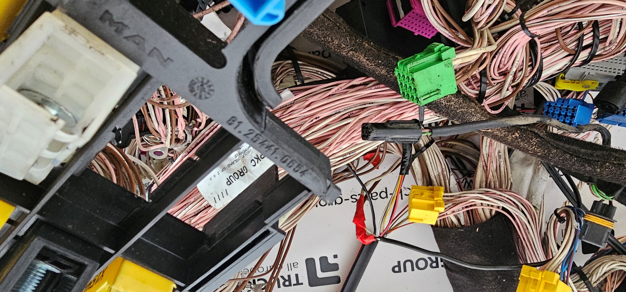 Rezervni deo za Kamion MAN MAN TGX, TGS EURO6 cable harness with connectors inside cab, full set, wiring set electric support 81254586184, 81254585181, 81254566672, 81254595085, 81254585533, 81254566749: slika 9