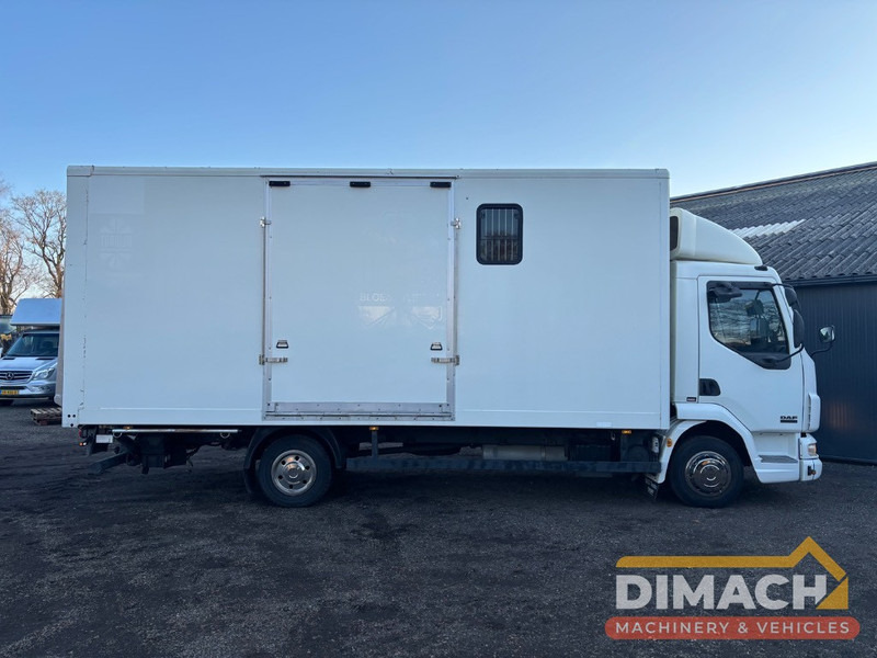 DAF FA LF45.150 4 paards, laadlift. Horsetruck NL truck - Kamioni za prevoz konja: slika 4 DAF FA LF45.150 4 paards, laadlift. Horsetruck NL truck - Kamioni za prevoz konja: slika 4