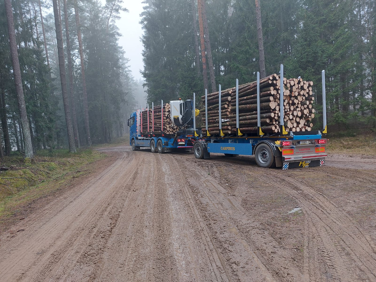Hydrofast Przyczepa 2 osiowa do drewna stosowego HFP2/2-axle timber trailer HFP2 - Prikolica šticarka: slika 3 Hydrofast Przyczepa 2 osiowa do drewna stosowego HFP2/2-axle timber trailer HFP2 - Prikolica šticarka: slika 3