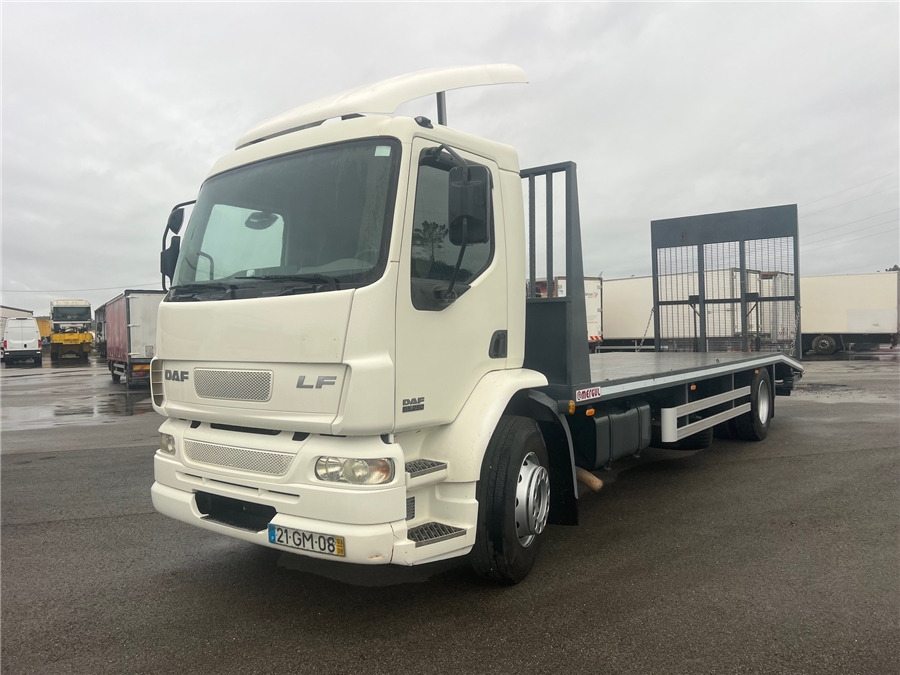 DAF LF 55.220 - Kamion sa tovarnim sandukom: slika 1 DAF LF 55.220 - Kamion sa tovarnim sandukom: slika 1
