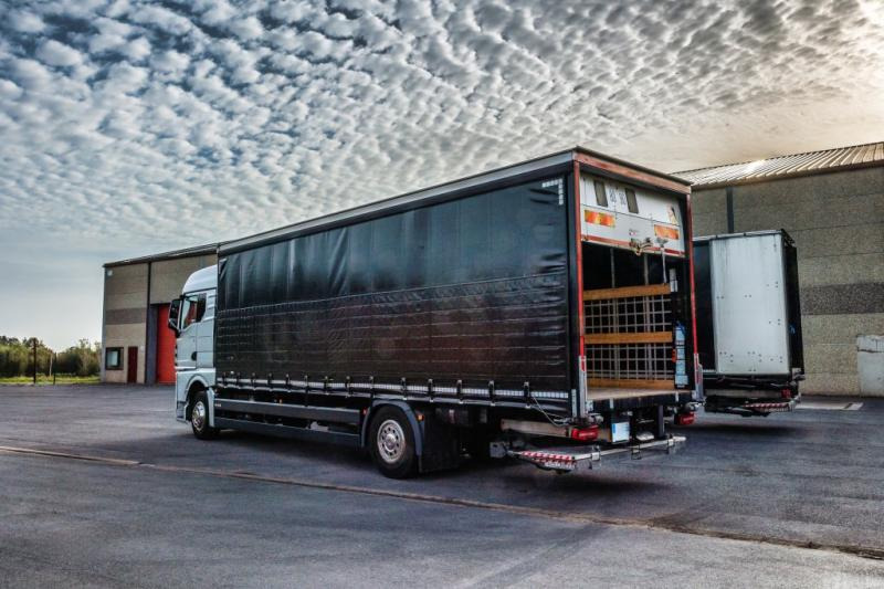 MAN TGX 18.400 XLX+HAYON - Kamion sa ceradom: slika 4 MAN TGX 18.400 XLX+HAYON - Kamion sa ceradom: slika 4