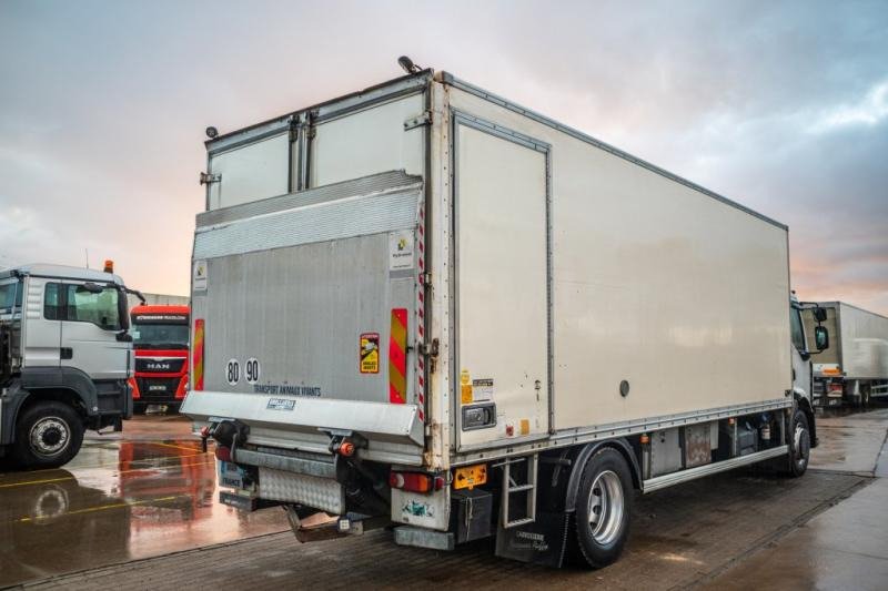 Renault PREMIUM 300DXI+POUSSIN/CHICKEN/KUIKEN/KÛKEN+DHOLLANDIA - Kamion sa zatvorenim sandukom: slika 3 Renault PREMIUM 300DXI+POUSSIN/CHICKEN/KUIKEN/KÛKEN+DHOLLANDIA - Kamion sa zatvorenim sandukom: slika 3