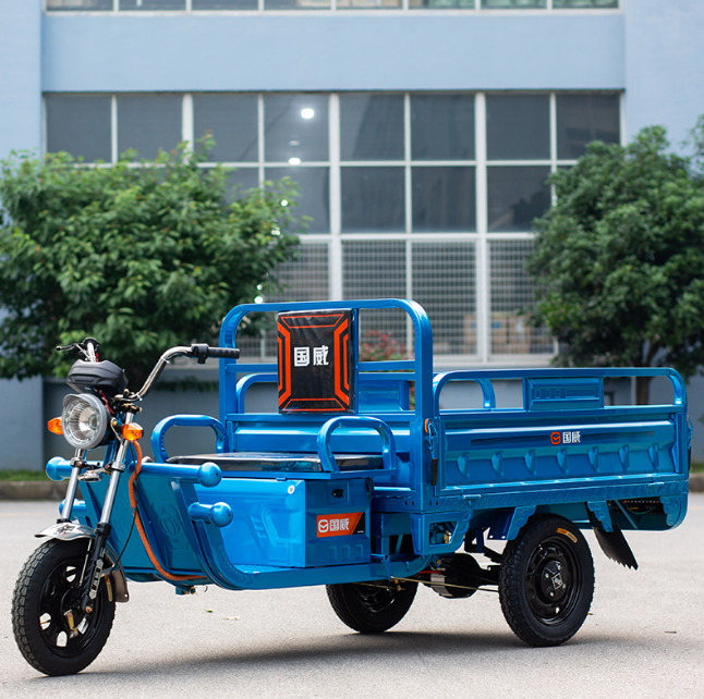 Guowei Cargo 3 wheels Electric Tricycle - Motocikl: slika 2 Guowei Cargo 3 wheels Electric Tricycle - Motocikl: slika 2