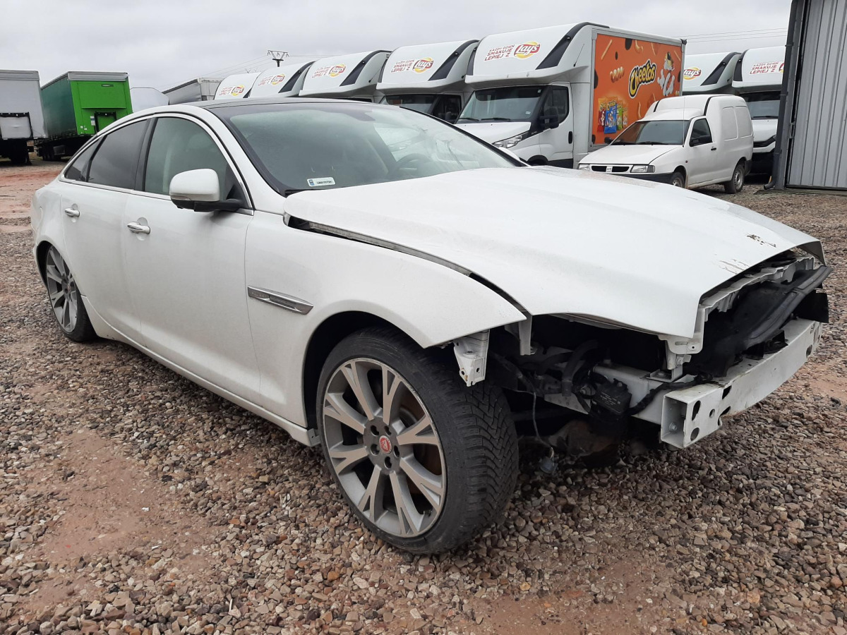 JAGUAR XJ SEDAN - Limuzina: slika 1 JAGUAR XJ SEDAN - Limuzina: slika 1